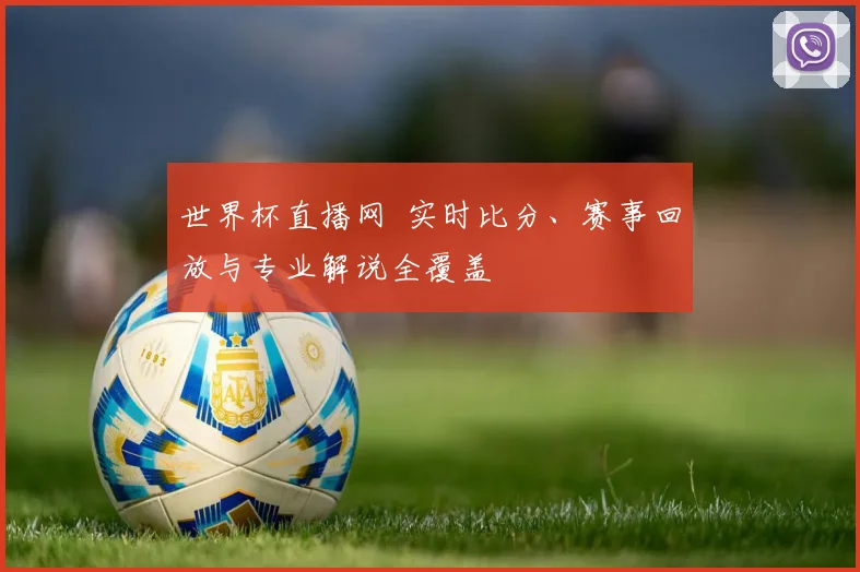 世界杯直播网 实时比分、赛事回放与专业解说全覆盖