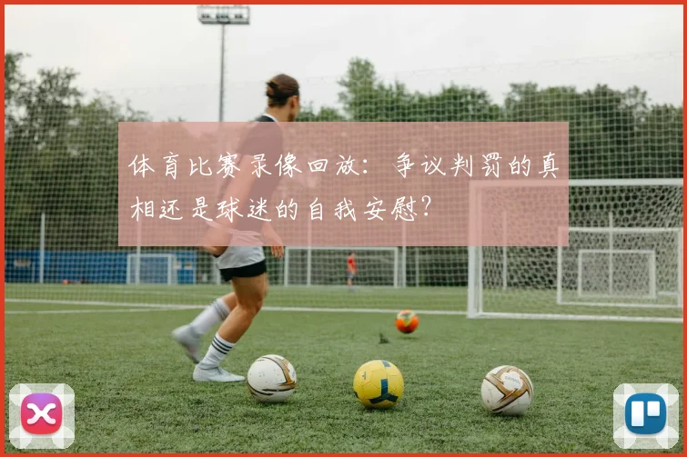 体育比赛录像回放：争议判罚的真相还是球迷的自我安慰？