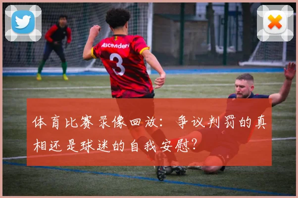 体育比赛录像回放：争议判罚的真相还是球迷的自我安慰？