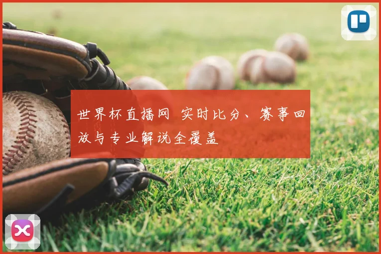 世界杯直播网 实时比分、赛事回放与专业解说全覆盖