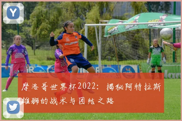 摩洛哥世界杯2022：揭秘阿特拉斯雄狮的战术与团结之路